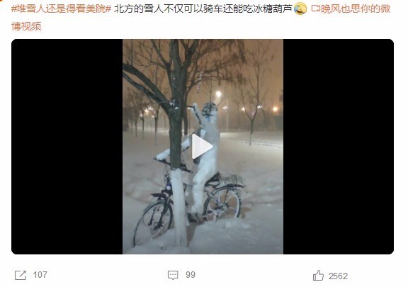 哈哈哈！你的家乡下雪了吗？堆雪人还是得看美院