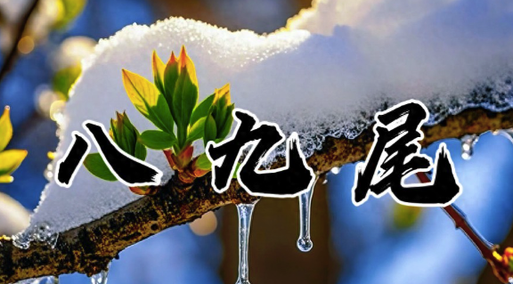 “倒春寒来不来，就看八九尾”，明日八九尾，今春会有倒春寒吗？