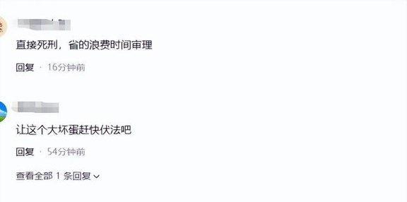 梅姨为什么能“隐身”20多年 老派躲法难追踪