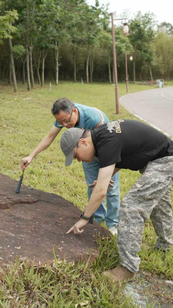 广西邕江畔发现恐龙化石 新化石点引关注
