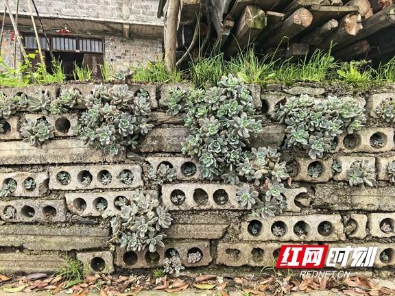 不忍心乡亲受灾 常德73岁老党员和男儿捐钱2500元