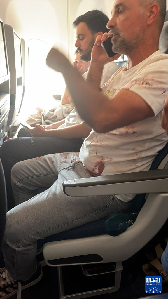 以总理还原迪拜航空客机安全事件 乘客与机组合力制服行凶者