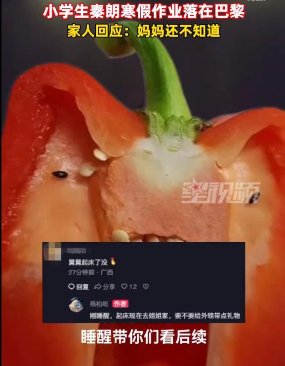 小学生寒假作业落巴黎？丢寒假作业的秦朗家人回应：妈妈还不知道