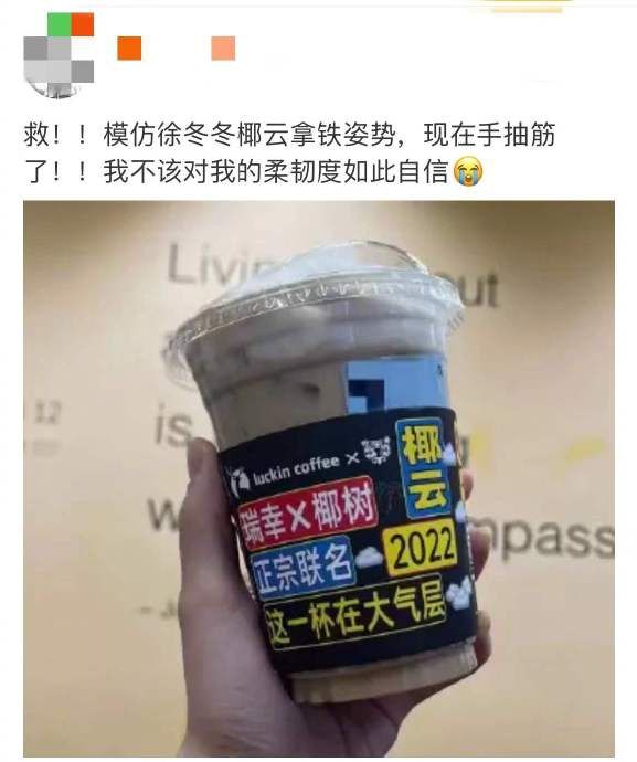 云旗模仿徐冬冬椰树姿势