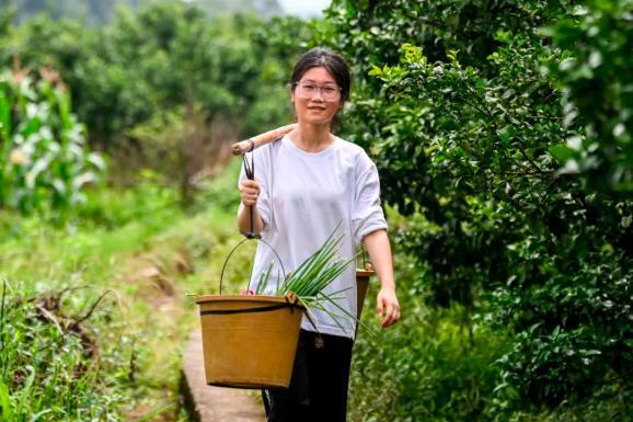 班主任回應扁擔女孩高考成績 班級表現(xiàn)超預期