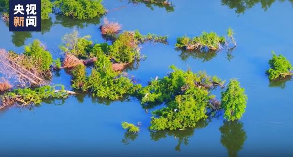 把千万种春意拉满！被云南滇池惊艳了