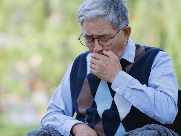 宝芝林灵芝虫草皇：科学守护现代人的呼吸健康
