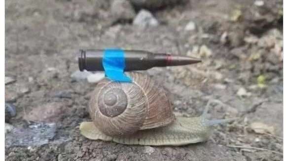 乌克兰驻德大使用蜗牛照片讽德拖延武器供应
