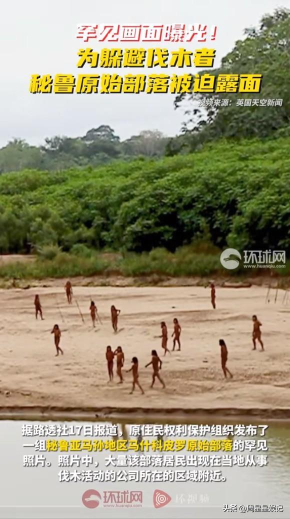 躲避伐木者 秘鲁原始部落被迫露面 生态危机加剧