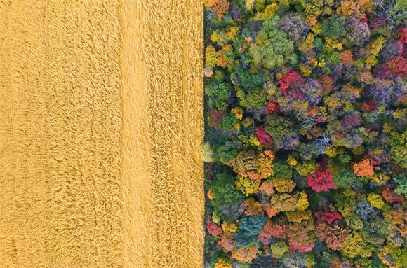 很多时候越懂松弛越有力量 张弛有度事半功倍