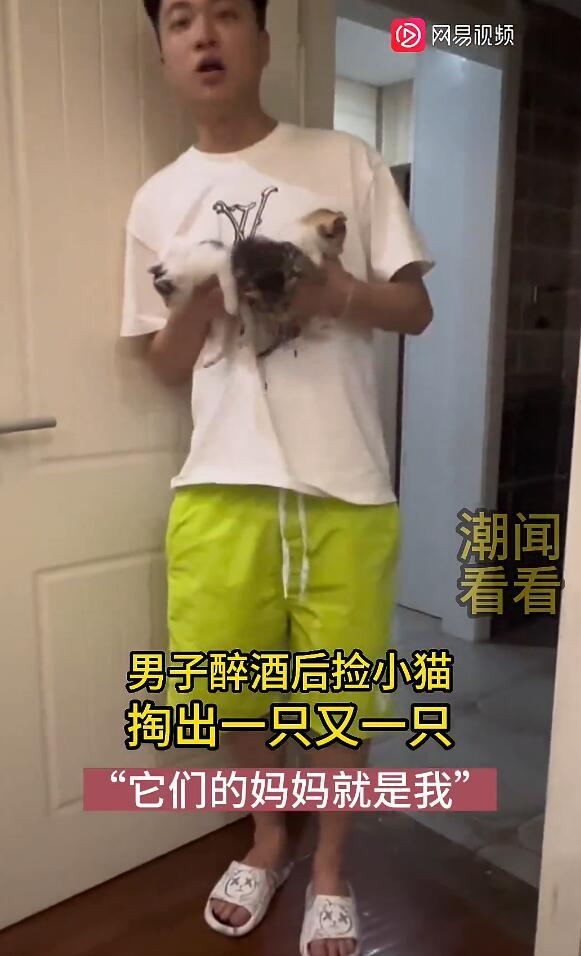 男子醉酒后捡小猫回家 “它们的妈妈就是我”