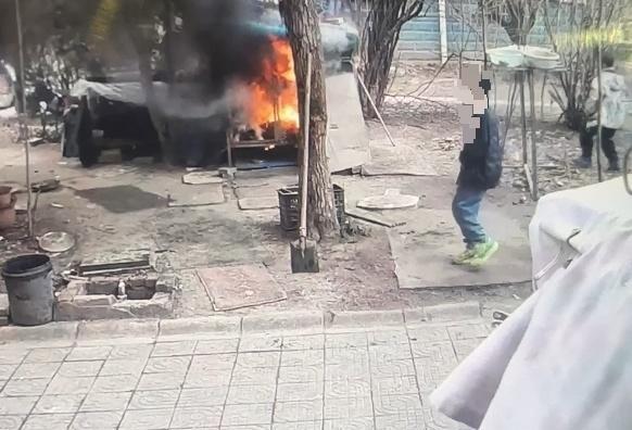 男童点火烧死萨摩耶家属发声