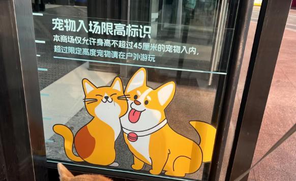 多家商场陆续取消宠物友好