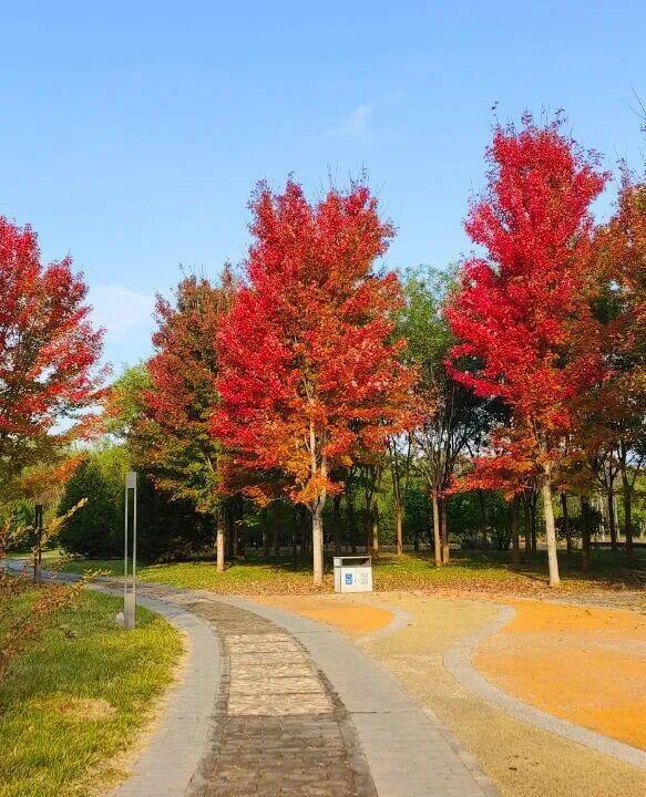 北京今日雨雪添寒意，京城进入持续阴冷模式 出行需防雨雪低温