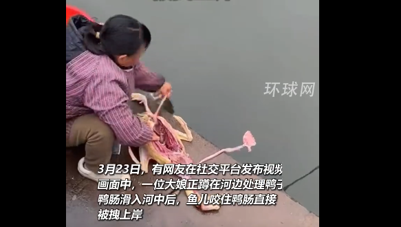 零装备 “钓鱼”！大娘收拾鸭子时鱼儿咬住鸭肠被拽上岸