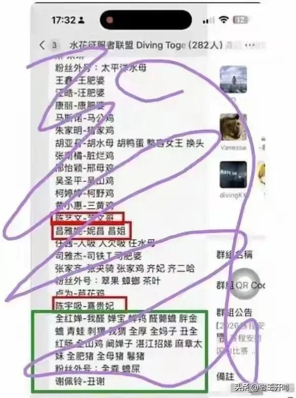 霸凌全红婵群已解散 名单曝光 体育圈反网暴分水岭