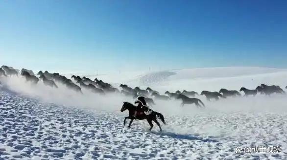 贺娇龙直播打赏全用于扶困帮贫 公益站点温暖人心