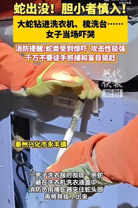 梳洗臺下發(fā)現(xiàn)蛇女子嚇得大哭 消防員及時(shí)救援