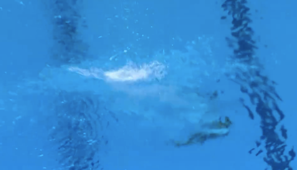 加拿大華裔女將 這一跳把全場看呆了 水花在哪里？