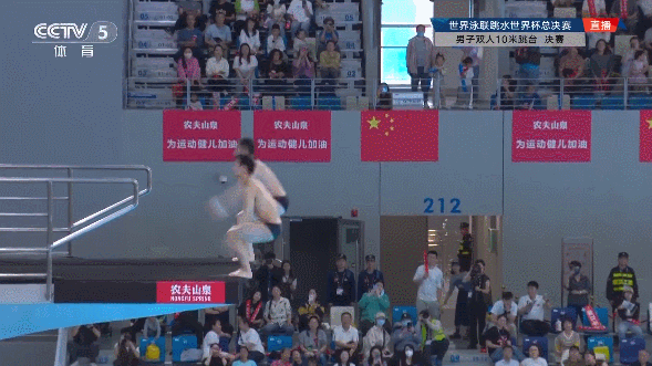 练俊杰杨昊男子双人10米台夺冠
