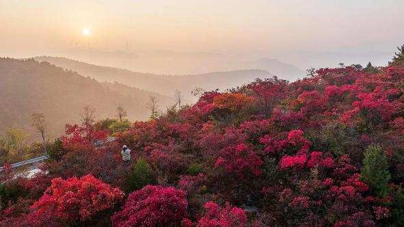 Taihang Red: Driving Through China's Most Dramatic Autumn