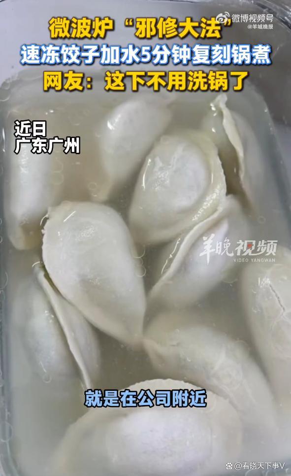 微波炉邪修：加热速冻饺子复刻锅煮