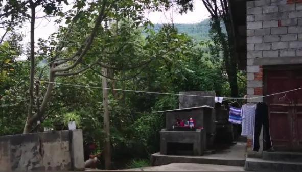 在俄失联中国女留学生已离世 异国深秋的悲歌