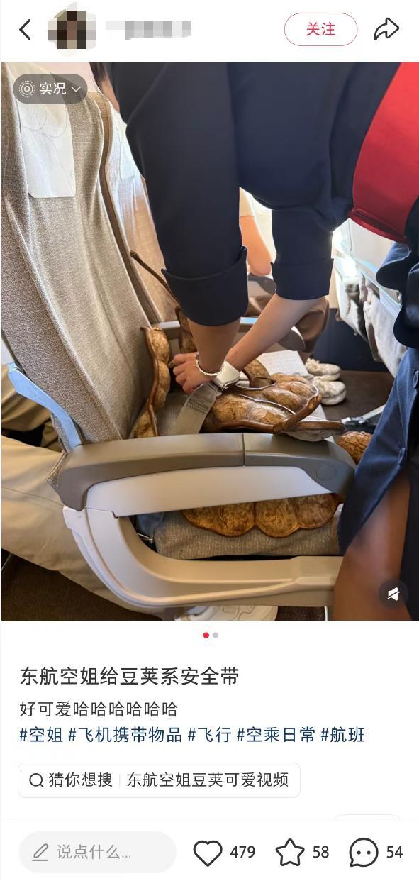 空姐为巨大豆荚系安全带