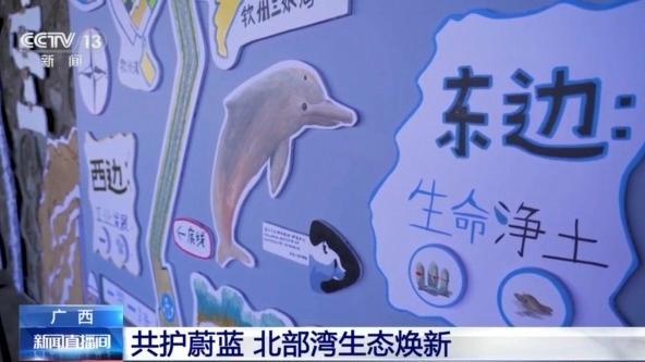 從潿洲島到三娘灣 探訪廣西北部灣生態(tài)守護(hù)之路