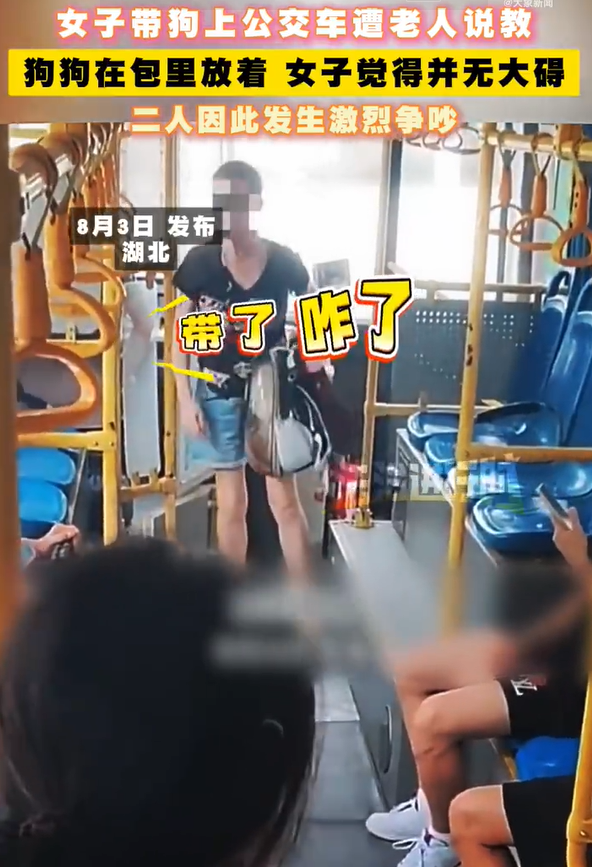 女子背包带狗坐公交被老人劝阻 与老人激烈争吵