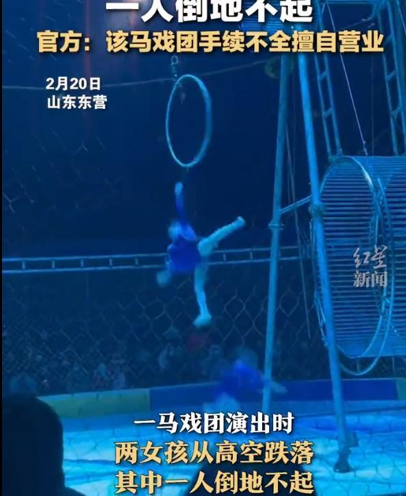 马戏团2名女孩高空跌落 距离地面两三米高视频很惊悚
