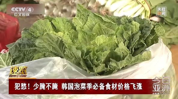 每颗37元 韩国白菜变“金菜” 中国泡菜能否再救场？