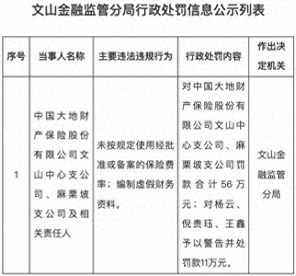 中国大地保险多地分支机构接连被罚，涉编制虚假财务资料等违规，消费者投诉量居高不下