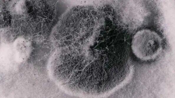 这种致癌物藏在家里 许多东谈主浑然不知