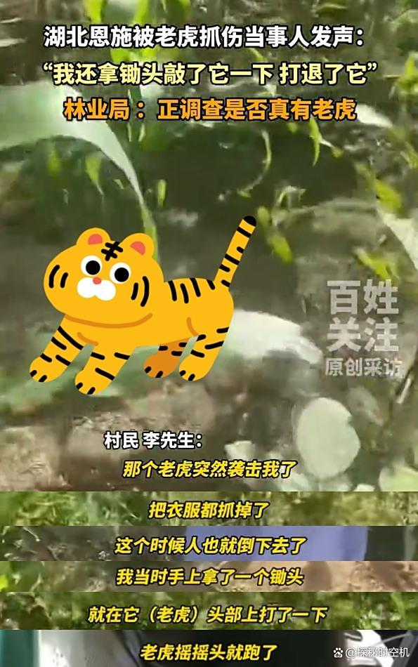 湖北村民称被老虎抓伤:打退了它 引发全网热议