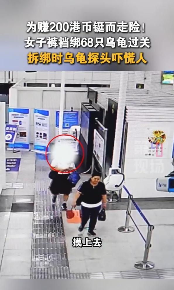 两女子用紧身裤绑藏68只活体乌龟入境！画面曝光