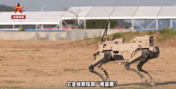 沖鋒！演習(xí)現(xiàn)場(chǎng)“機(jī)器狼”射擊畫面最新披露