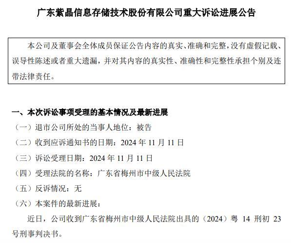 紫晶存儲財務造假10名高管集體獲刑