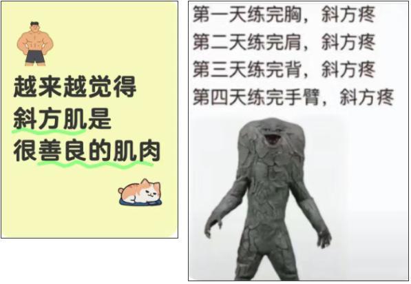 斜方肌为何如此“乐于助肌”