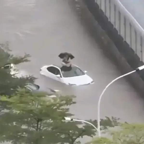 实拍厦门暴雨：有车辆泡水中，道路积水严重阻碍通行