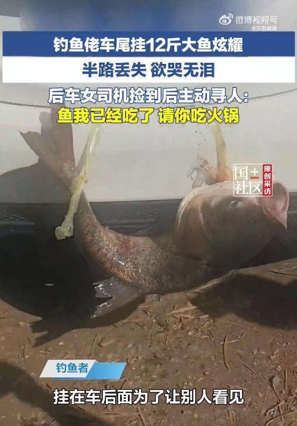 司机车尾挂鱼炫耀 半路被后车司机捡漏