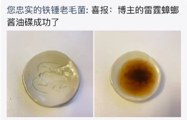 离谱！加入酱油会出现蟑螂的酱油碟 