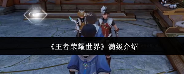 《王者荣耀世界》满级介绍