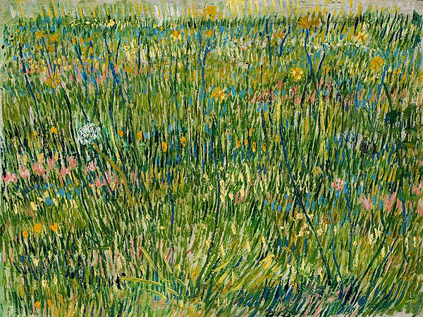 1887 茂盛的牧草 荷兰国立沃特罗库勒慕勒美术馆