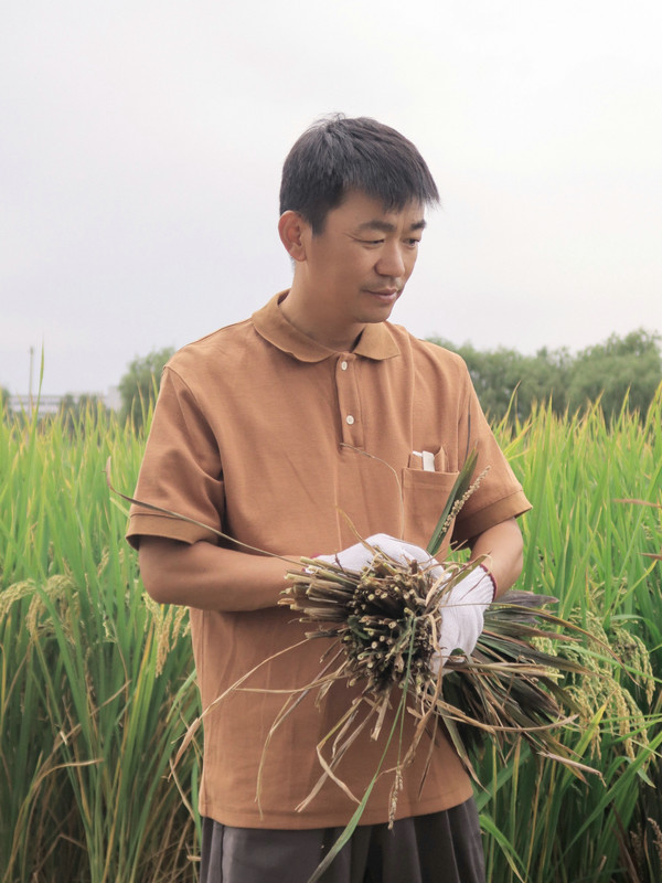 王宝强受新华社邀请拍摄公益短视频 助力农民丰收节