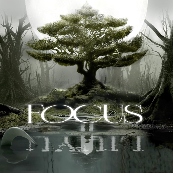 刘宇全新专辑《十方艺念》现代主打《Focus》上线 穿越荆棘开启新世界之门