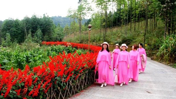 云栖1681：藏在鄂西高山里的诗与栖居