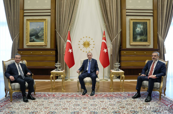 土耳其总统对王毅说的这句话，还挺有意思的