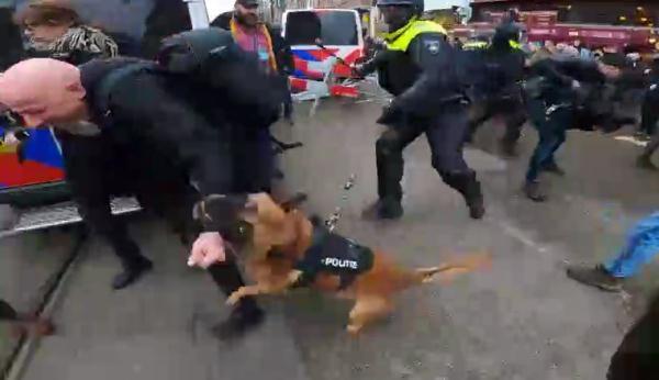 荷兰警察放狗撕咬反防疫抗议者 现场画面曝光