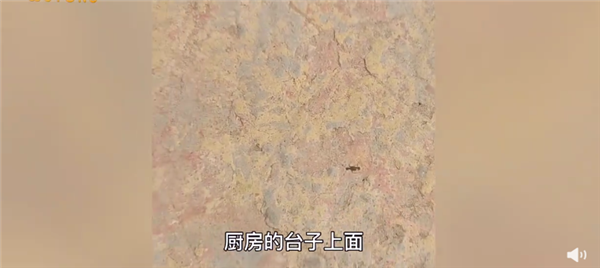 60年高温！江苏有多热：蚂蚁落地活不过3秒、活珠子天太热孵出小鸡、温度计爆表